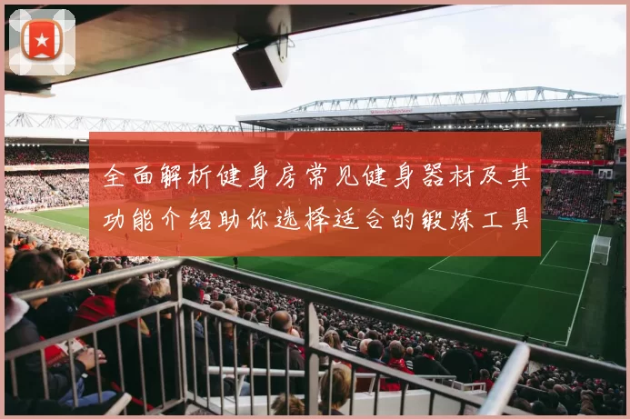 全面解析健身房常见健身器材及其功能介绍助你选择适合的锻炼工具