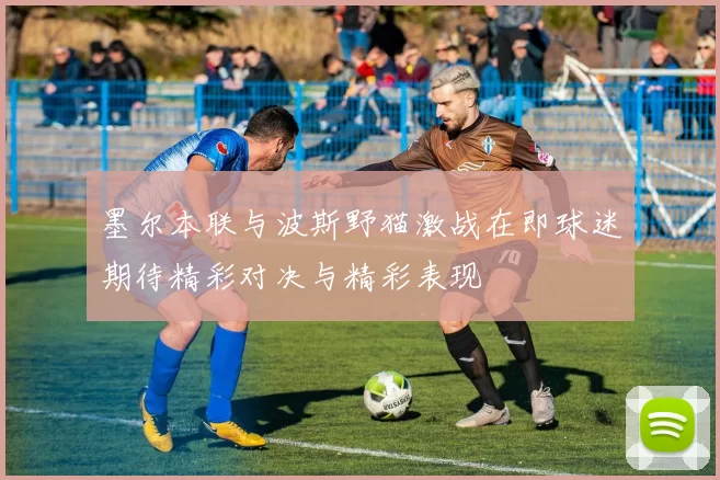 墨尔本联与波斯野猫激战在即球迷期待精彩对决与精彩表现