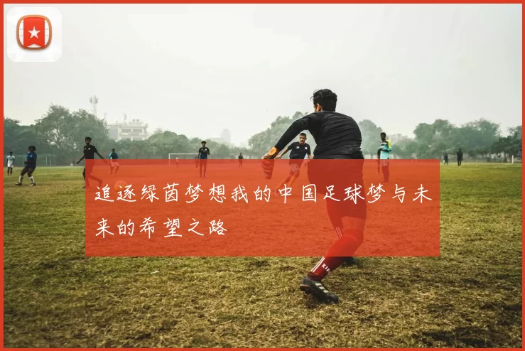 追逐绿茵梦想我的中国足球梦与未来的希望之路